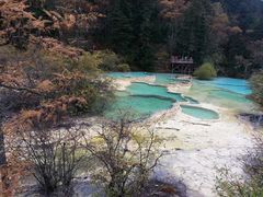 -黄龙山原始森林景区