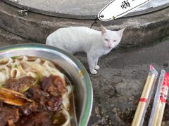 -水井拉粉油条(赤坎民国风情街店)