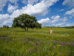 -塞罕坝国家级自然保护区