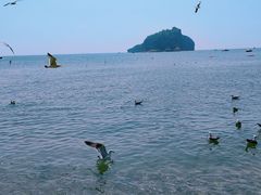 -棒棰岛宾馆景区