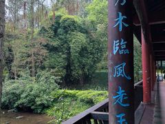 -重庆彩云湖湿地公园