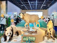 -陕西自然博物馆