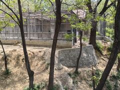 -石家庄市动物园