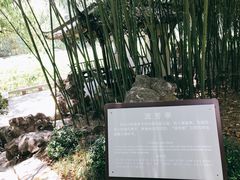 -包公祠