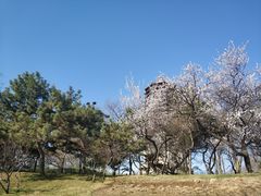 -玲珑塔公园