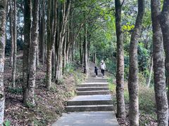 -梧桐山风景名胜区