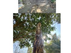 -一寨两国风景区