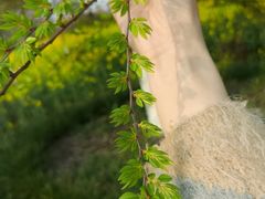 -武汉紫薇都市田园