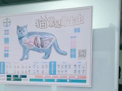 -半岛宠物医院24小时(科华中路店)