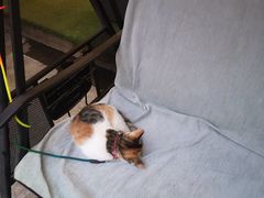 -后海16号·北京私房菜