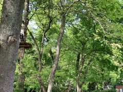 -WeLope紫金山探险公园