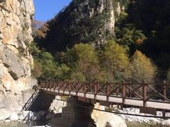 -青峰峡国家森林公园