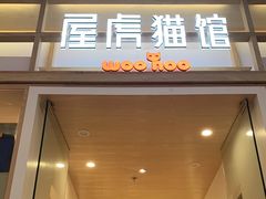 -屋虎猫馆(宝安大仟里店)