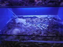 门面-老虎滩大连海鲜烧烤(建邺云锦路总店)