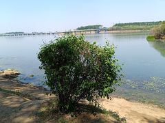 -丁香湖公园