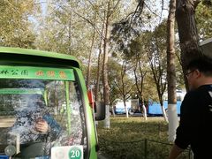 -合肥滨湖国家森林公园