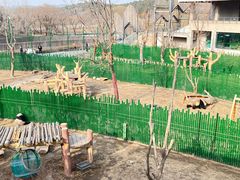 -沈阳森林动物园