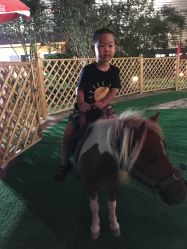 -萌宠亲子动物乐园(槐房万达店)