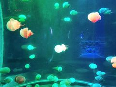 -南昌融创海世界