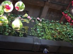 -别院里音乐餐酒吧(双流航空港店)