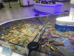 -澜悦港海鲜体验主题餐厅
