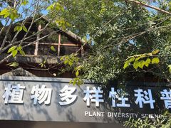 -西双版纳原始森林公园