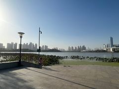 -月湖风景区