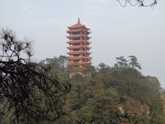-缙云山景区