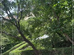 -青岩寺风景区