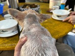 -园林美食城·本土农家菜(杨和镇店)