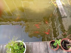 -龚家花园农家乐休闲别墅