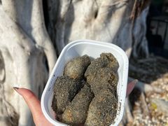 麻糍-叶氏麻糍(鼓浪屿店)