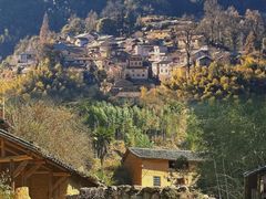 -杨家堂村