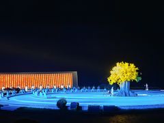 -鼎盛王朝康熙大典实景演出