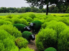 -北京奥林匹克公园