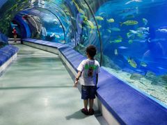 -福州罗源湾海洋世界旅游区