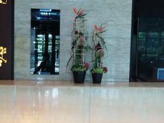 -上海龙之梦万丽酒店