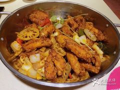 -靓蛙馆