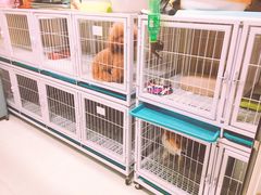 -多卡布奇宠物生活馆(上林世家店)