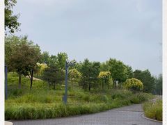-东郊湿地公园