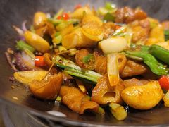 -新侨小馆(东直门北小街店)