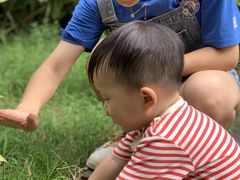 -奇乐全日制婴儿学校·早教