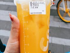 芒果绿茶-CoCo都可(常德路店)