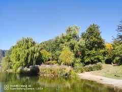 -绿茶餐厅(平谷华联店)