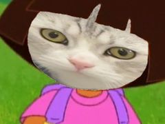 -凯瑞希宠物医院·狂犬免疫·微创·皮肤科