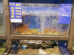 -群乐饭店(滨安路店)