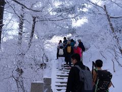 -崂山巨峰游览区