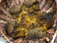 -海胆小馆(东北水饺·春柳店)