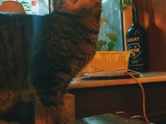 -云端咖啡私房店(河松街店)