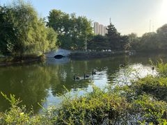 -长白岛森林公园